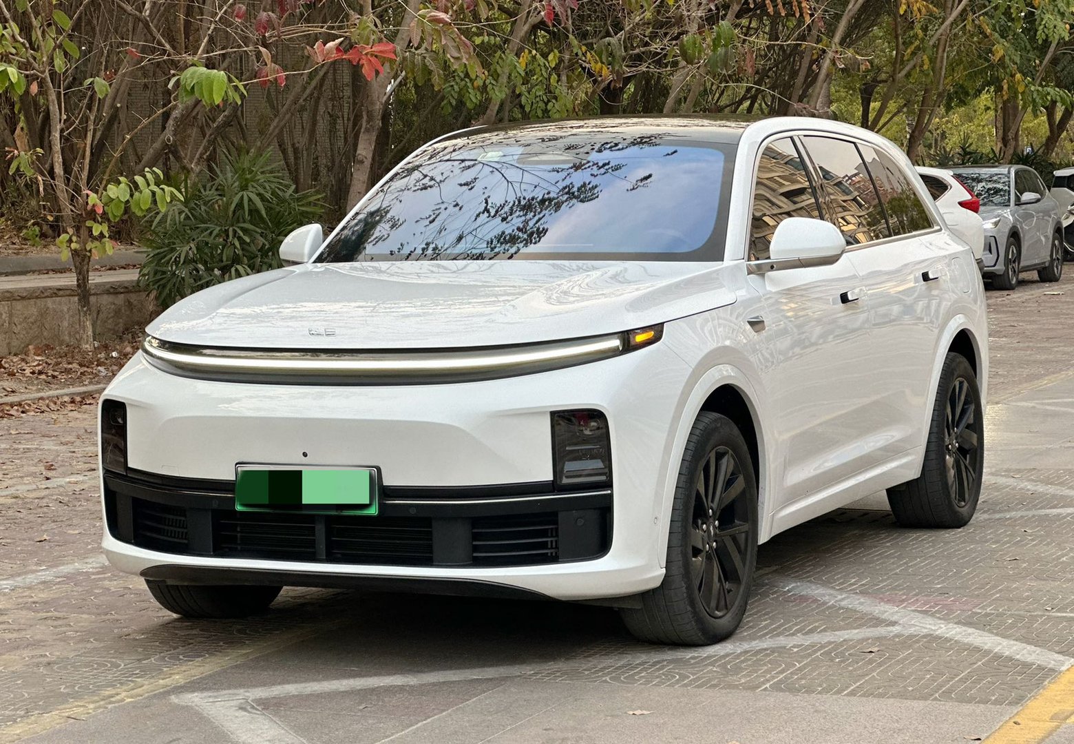 Li Auto Li L7